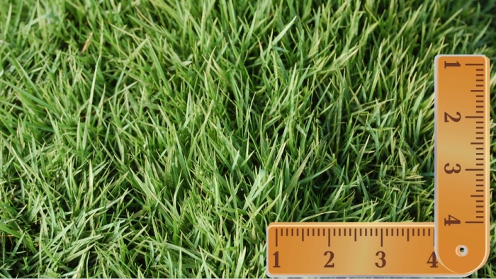 Como medir seu gramado